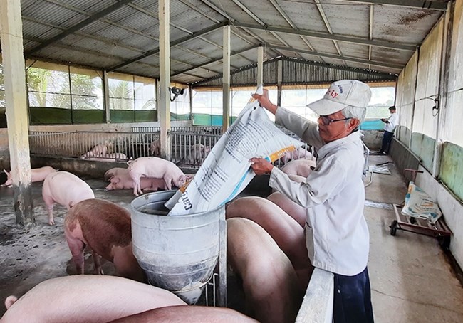 Ngành chăn nuôi tăng trưởng trong thời kỳ bão giá (30/12/2022)